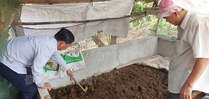 Ông nông dân Bến Tre nuôi một con vật chui rúc, biến thứ bẩn ra phân bón tốt, nhà khá giả hẳn lên