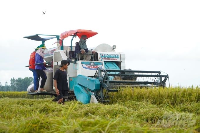 Cánh đồng giảm phát thải ở Cần Thơ tăng lợi nhuận ròng hơn 6 triệu đồng/ha
