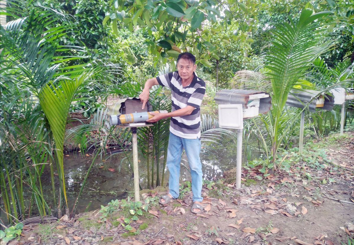 Làm nhà cho ong bằng thùng xốp, bìa cứng, lão nông Bến Tre bán được giá 2-2,5 triệu đồng/lít