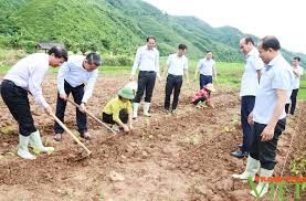 Bí thư Tỉnh uỷ Lào Cai Đặng Xuân Phong kiểm tra các dự án nông nghiệp, giao thông, xây dựng