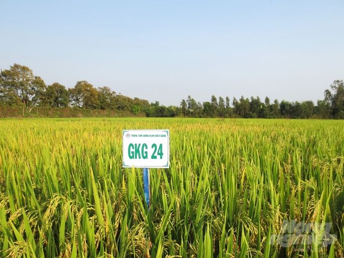 Kiên Giang dồn lực khoa học công nghệ cho ngành nông nghiệp
