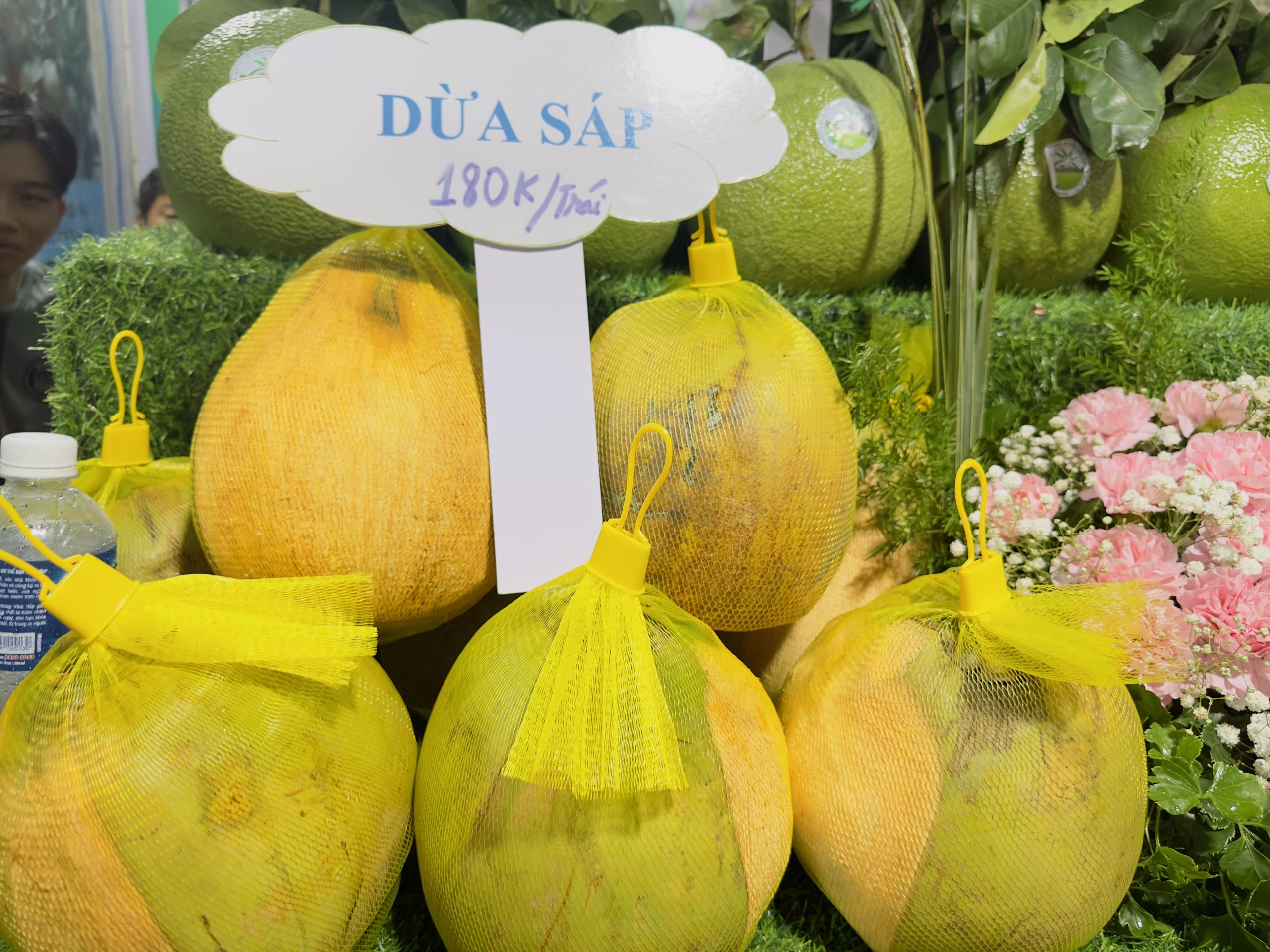 Cây dừa sáp gắn liền với cuộc sống của cộng đồng người dân tộc Khmer tỉnh Trà Vinh