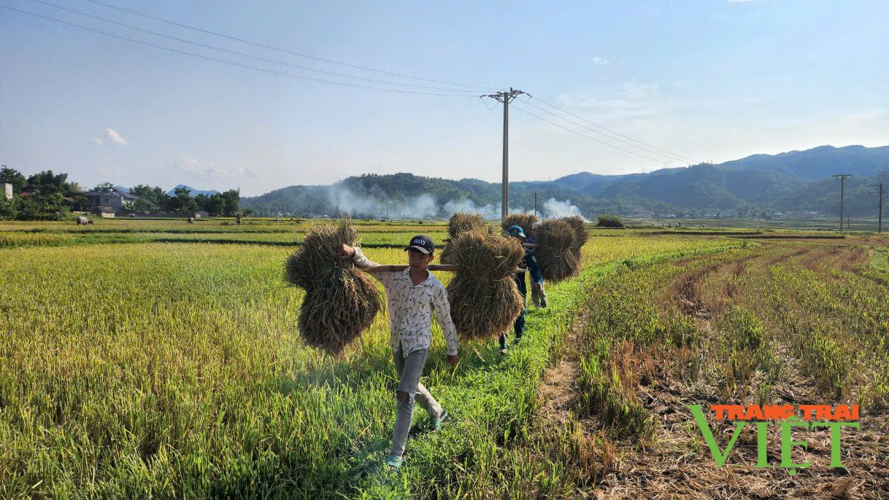 Than Uyên làm gì để cán đích huyện nông thôn mới vào năm 2025?
