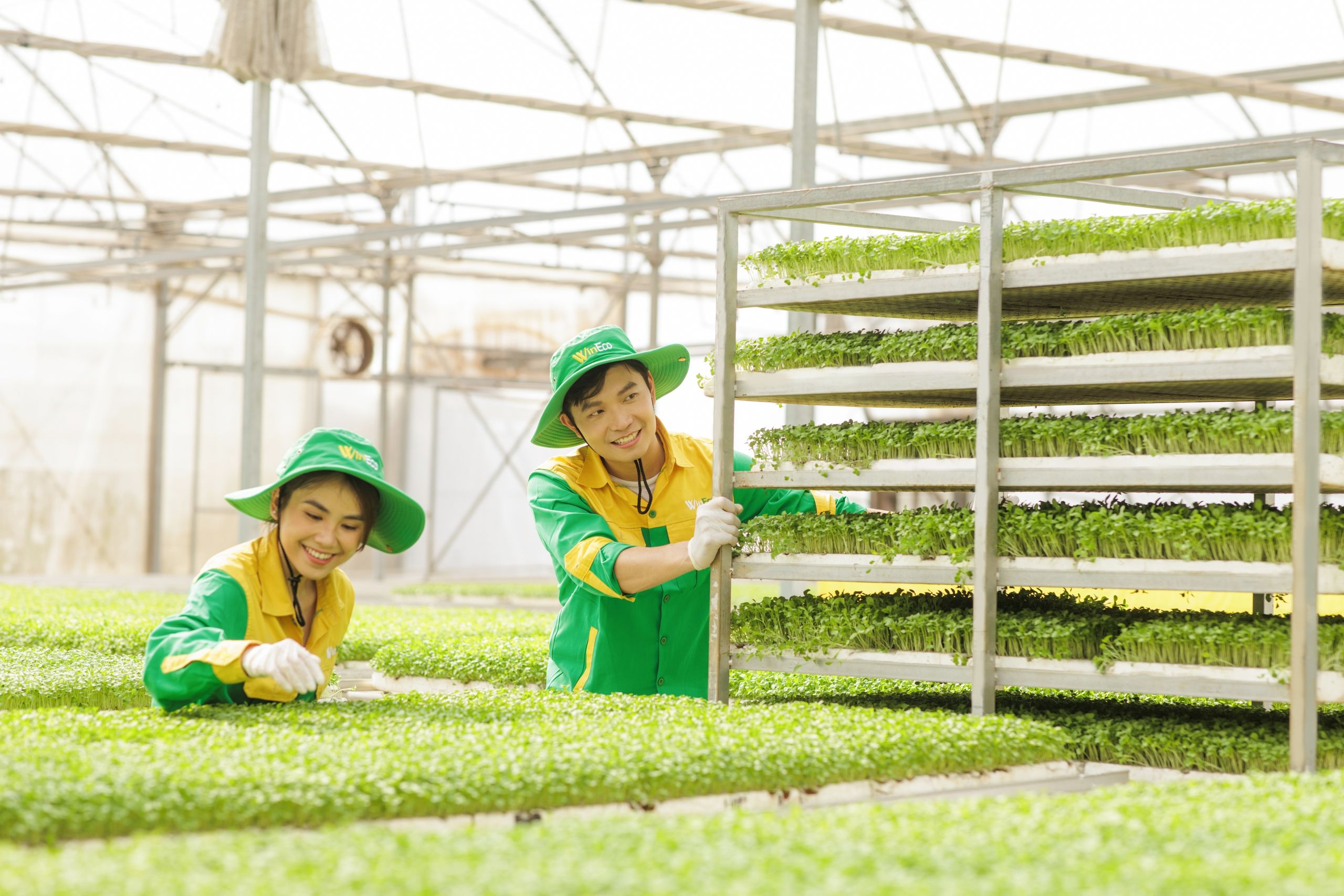 Xu hướng nông nghiệp sạch mở ra tương lai mới cho nông nghiệp Việt
