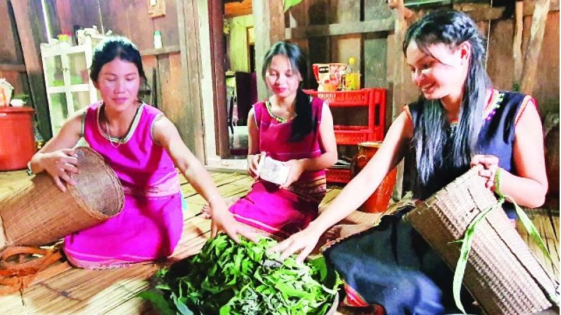 Bất ngờ một loại lá quen mặt ở Kon Tum vừa thơm ngon, lại bổ dưỡng, hương vị dân dã gói trọn tình quê