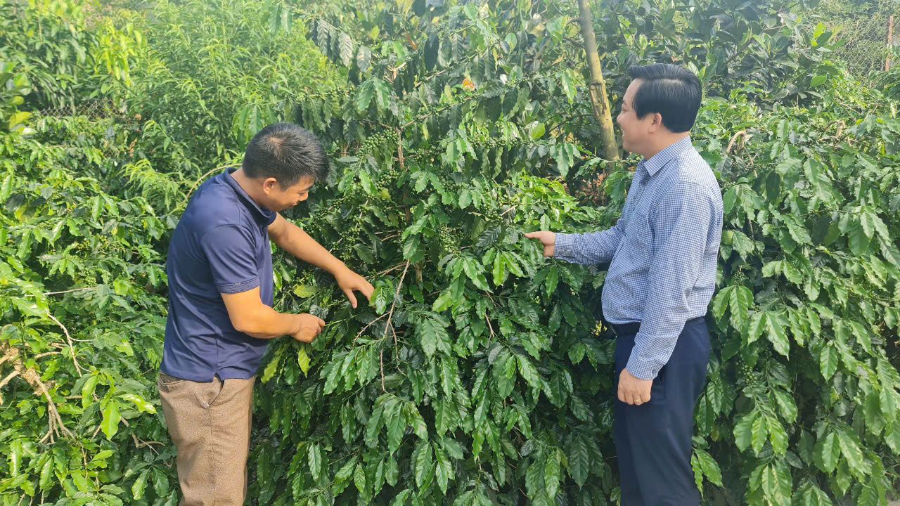 Mường Ảng - phấn đầu thành điểm sáng xây dựng nông thôn mới ở Điện Biên