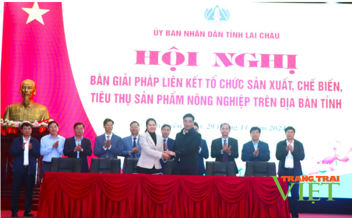 Lai Châu bàn giải pháp liên kết tổ chức sản xuất, chế biến, tiêu thụ sản phẩm nông nghiệp