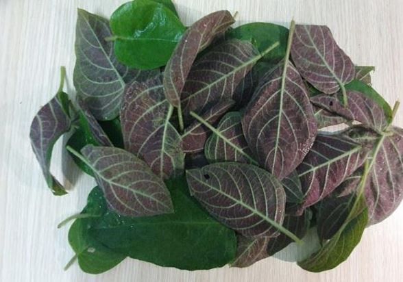 3 loại rau ít 
