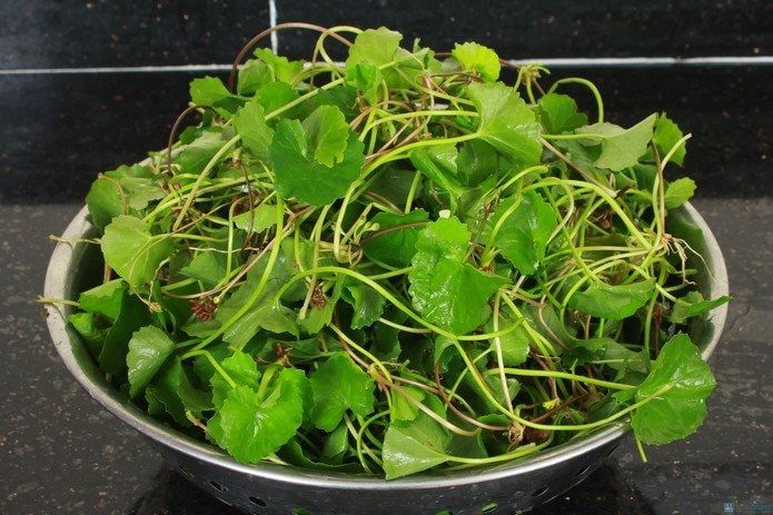Chỉ là thứ rau đồng, rau dại, đâu phải 