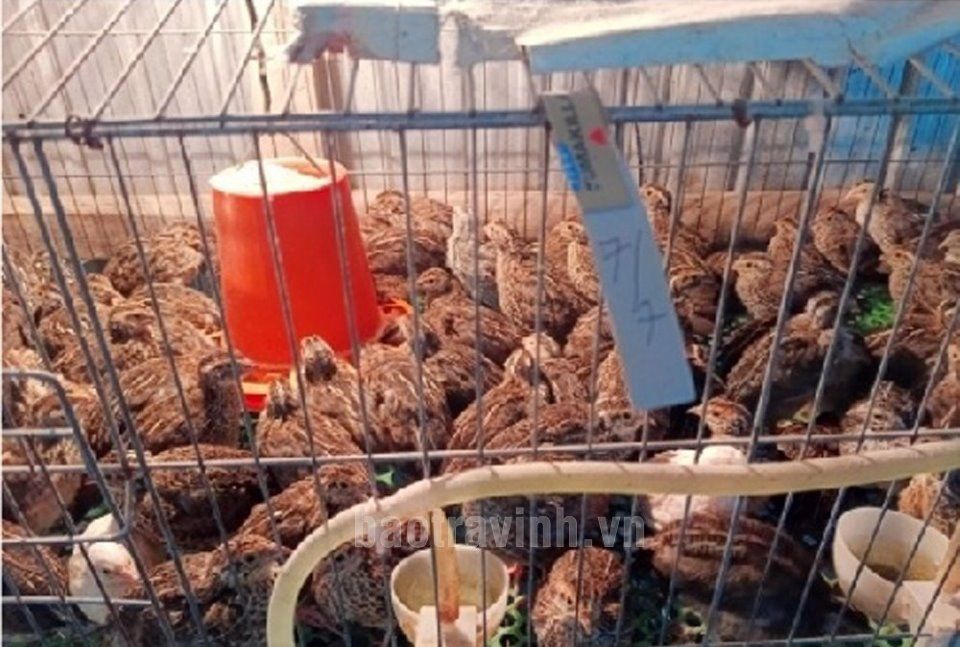 Xã Noong Hẹt đón nhận danh hiệu Nông thôn mới nâng cao