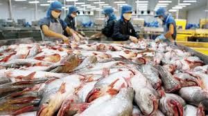 Cá tra Việt Nam chiếm 90% tổng lượng nhập khẩu cá tra của EU