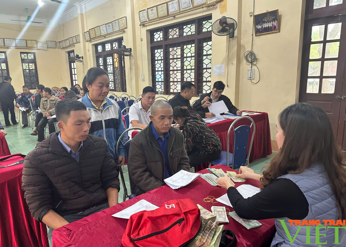 Lào Cai: Hỗ trợ kinh phí cho nông dân tham gia dự án vùng trồng rau chuyên canh