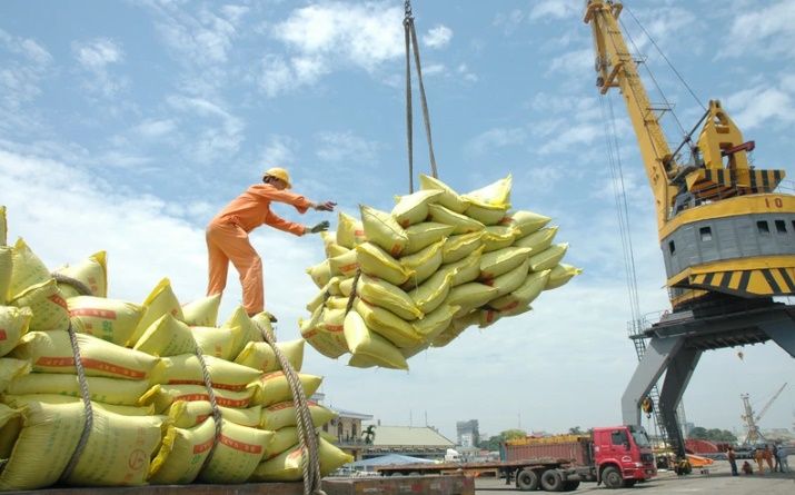 Xuất khẩu gạo lần đầu tiên vượt 5 tỷ USD, năm 2024 có thể đạt kỷ lục 9 triệu tấn