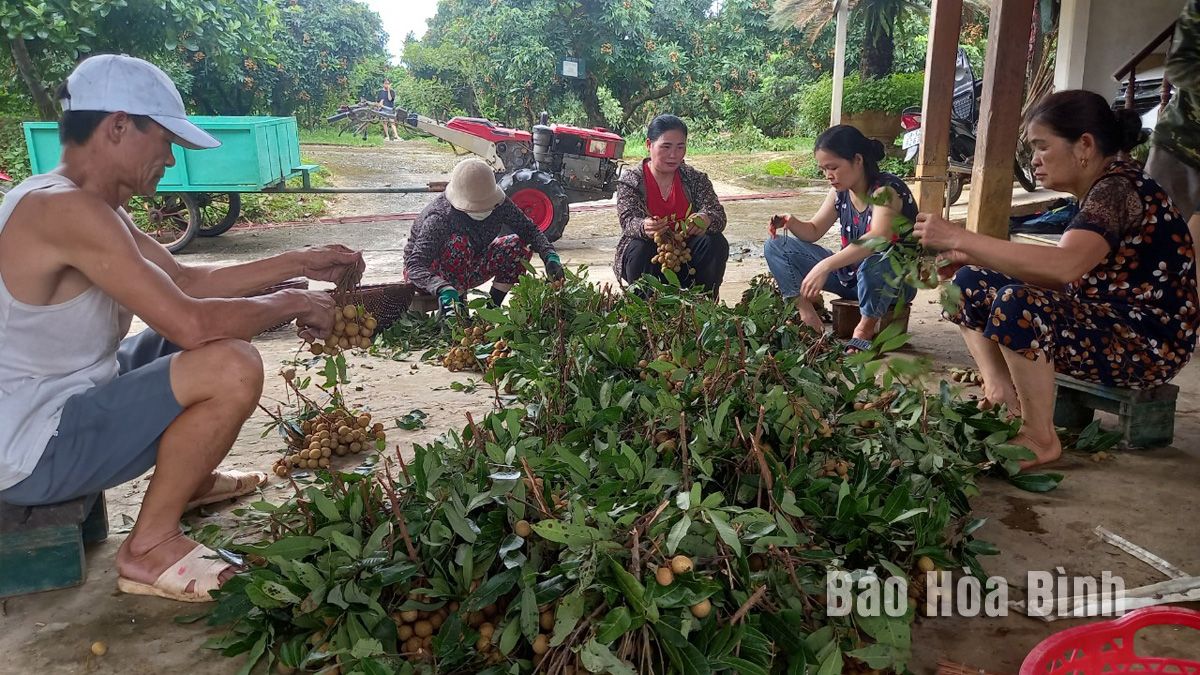 Kim Bôi chuyển mình nhờ xây dựng nông thôn mới