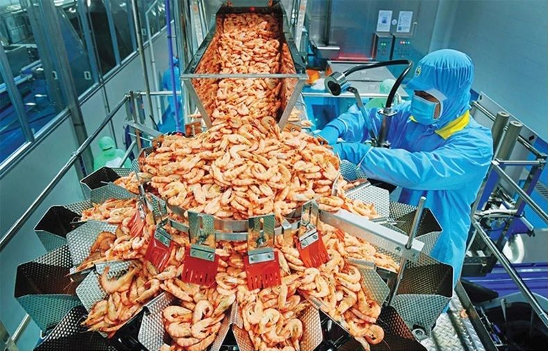 Nhu cầu nhập tôm Việt Nam của thị trường EU tăng trưởng dương liên tục