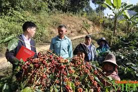 Sử dụng vốn vay Agribank hiệu quả mang lại thu nhập cao cho nông dân Sơn La