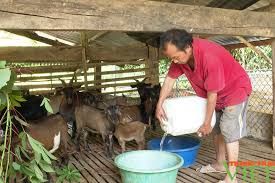 Xây dựng nông thôn mới, bản làng ở nơi này tươi đẹp, đáng sống