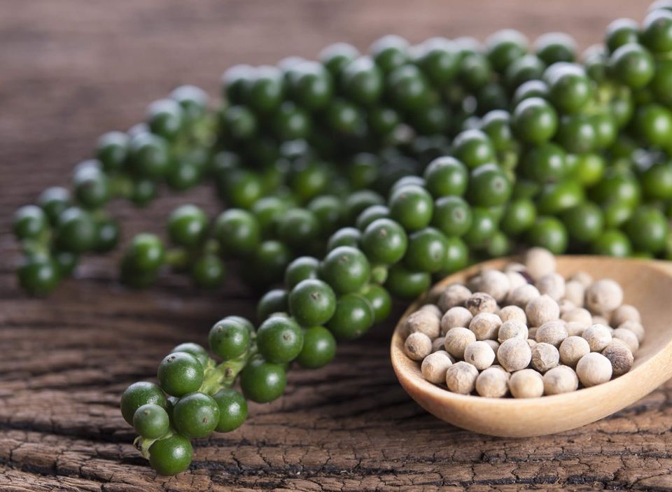 3 tỉnh Gia Lai, Đắk Nông, Đắk Lắk tiếp tục kéo giá tiêu lên cao hôm nay