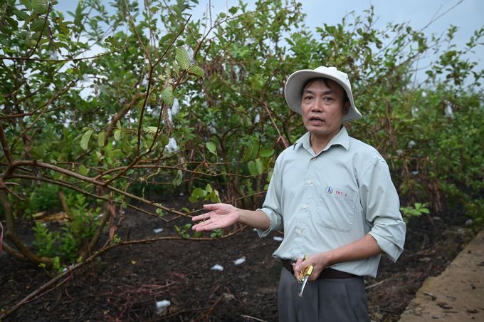 Câu chuyện 3 người nông dân