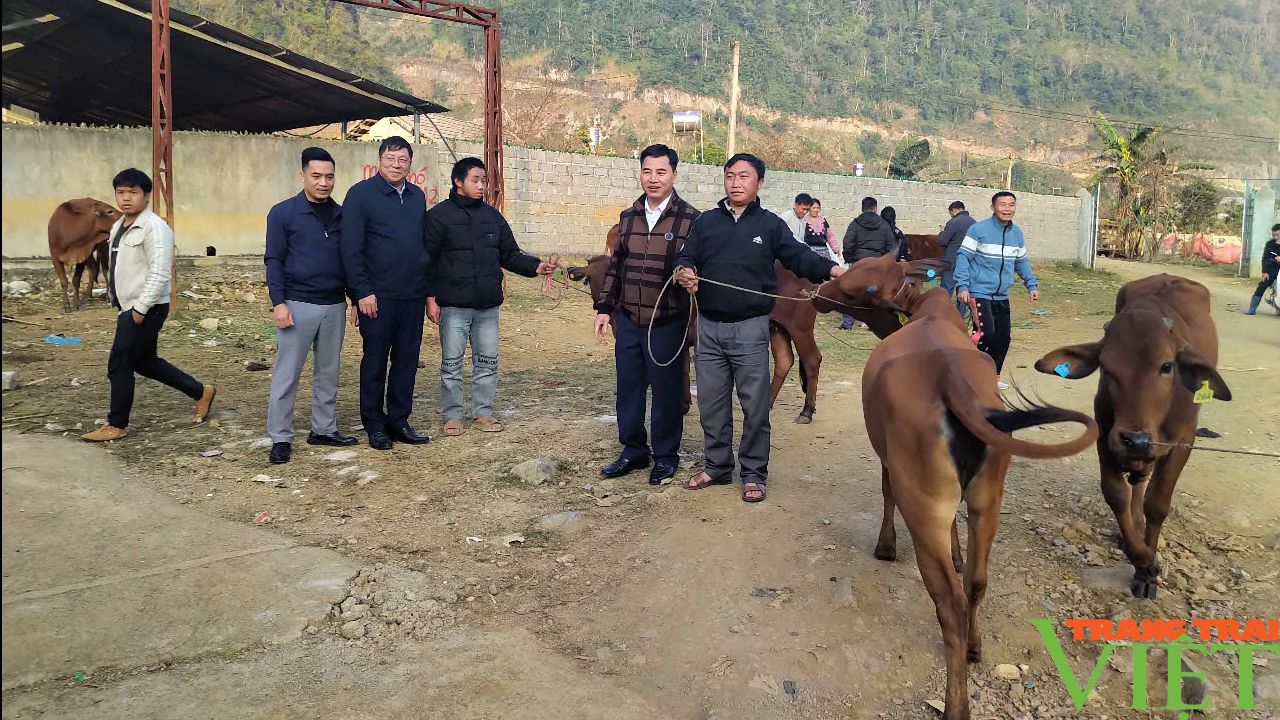 Chi hội Nông dân nghề nghiệp bản Lũng Xá - Tà Dê: Đẩy mạnh phát triển chăn nuôi đại gia súc