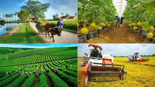 Cả nước có hơn 2.000 hợp tác xã nông nghiệp có sản phẩm đạt OCOP