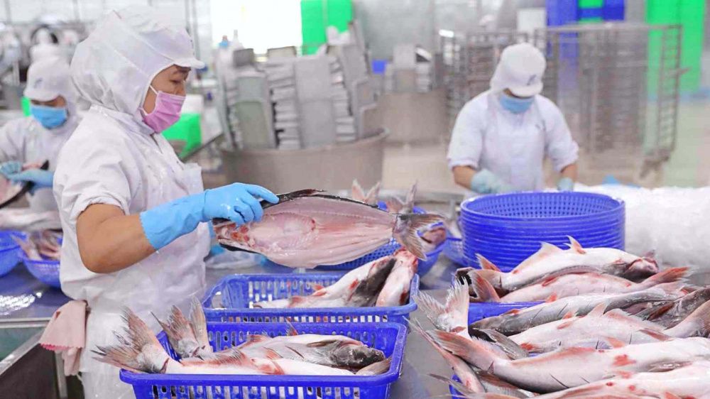VASEP tổ chức 
