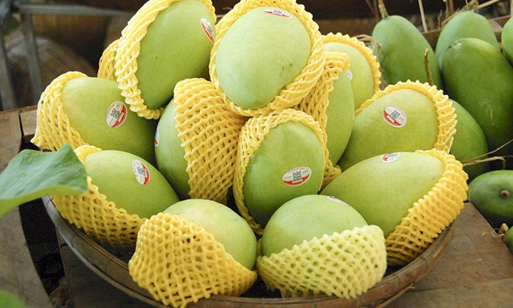 Cơ hội và thách thức cho xuất khẩu nông sản Việt Nam sang Vương quốc Anh