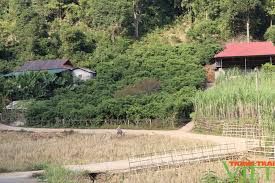 Quỳnh Nhai dồn lực hoàn thành các tiêu chí huyện nông thôn mới