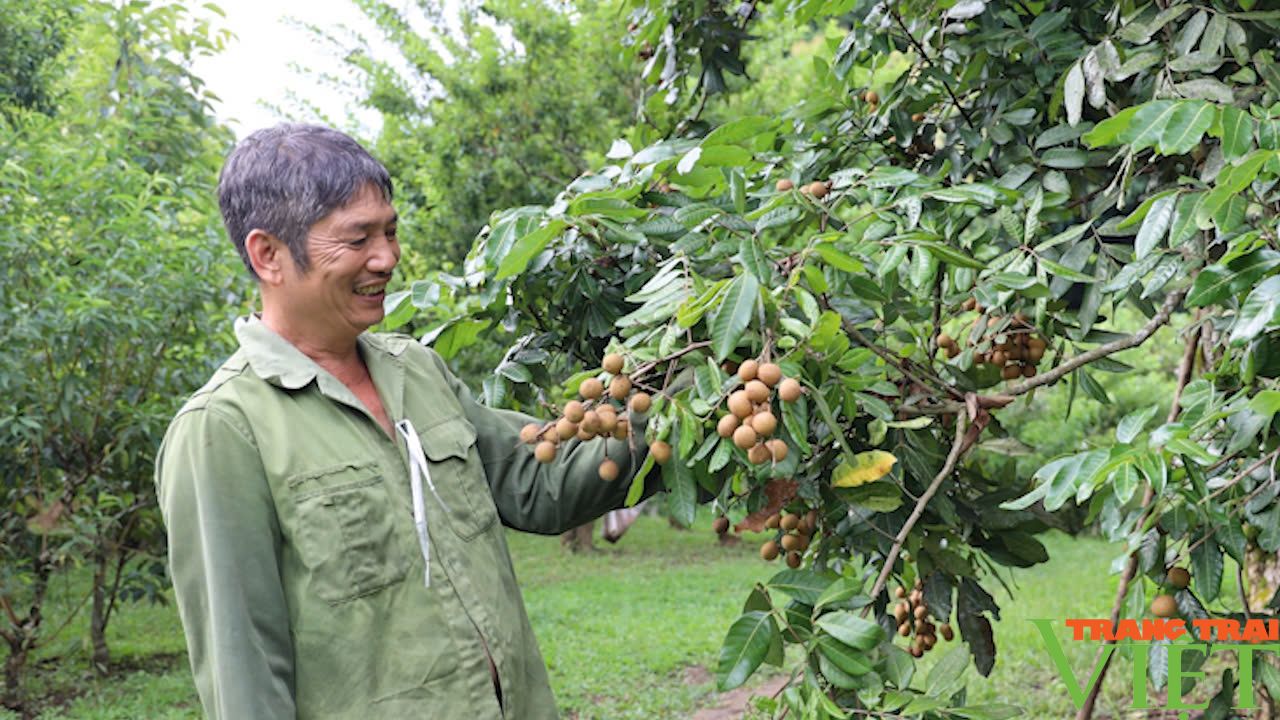 Thuận Châu: Phát triển sản phẩm OCOP gắn với xây dựng nông thôn mới