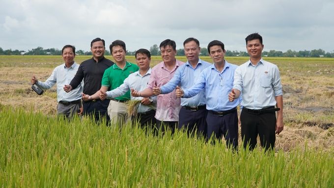 Công nghệ dinh dưỡng Vinco Roots bồi bổ cho đất