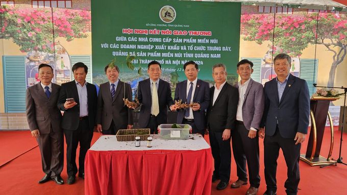 Sâm Ngọc Linh rời tán rừng nguyên sinh về với Thủ đô