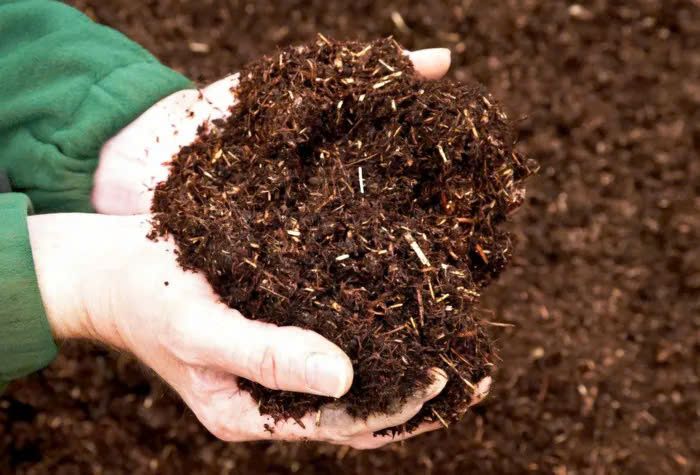 Gia tăng sử dụng phân bón hữu cơ: Giải tỏa những áp lực về ô nhiễm môi trường