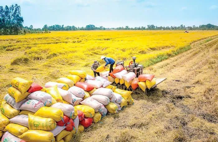 Xuất khẩu nông, lâm, thủy sản điểm sáng rực rỡ của ngành nông nghiệp