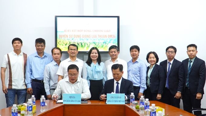 Thực thi hiệu quả quyền sở hữu trí tuệ, bảo hộ nhãn hiệu cho gạo