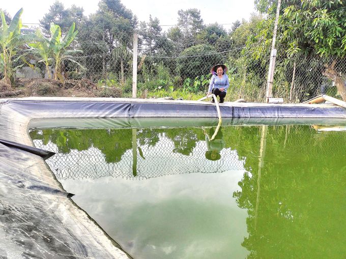 Bến Tre ứng phó với hạn, mặn mùa khô 2024 - 2025