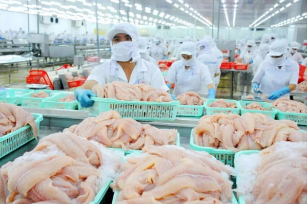 Xuất khẩu cá tra GTGT sang Mỹ đạt cao nhất trong 10 năm