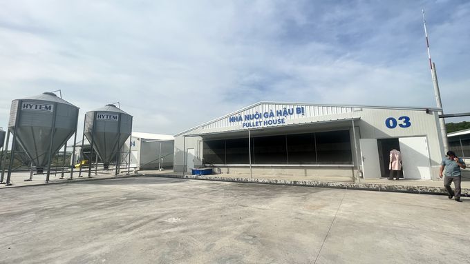 Đưa vào hoạt động khu nuôi gà đẻ trứng công nghệ cao lớn nhất Bình Thuận