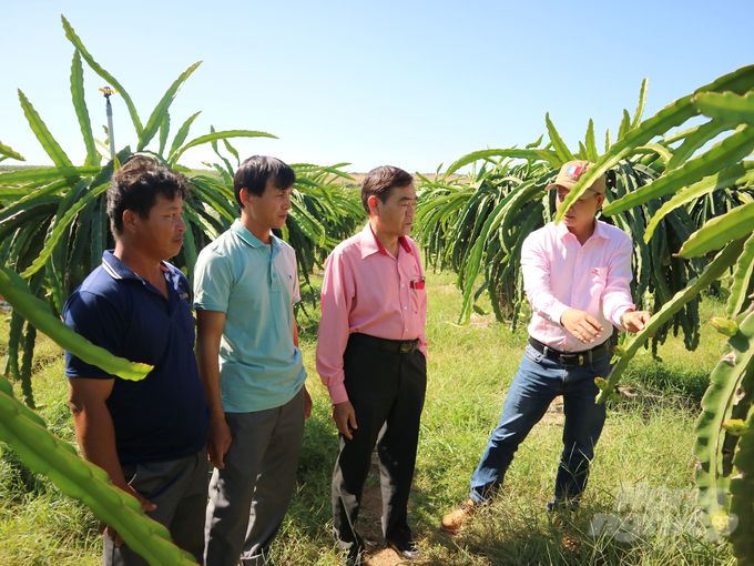 Thiết lập hệ thống xét cấp chứng nhận minh bạch cho sản phẩm hữu cơ