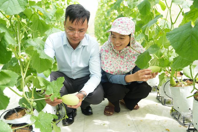 Nông trại đầu tiên ở Đắk Nông xuất khẩu rau sang Singapore