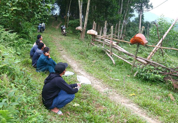 Nhộn nhịp mùa săn ong mật giống