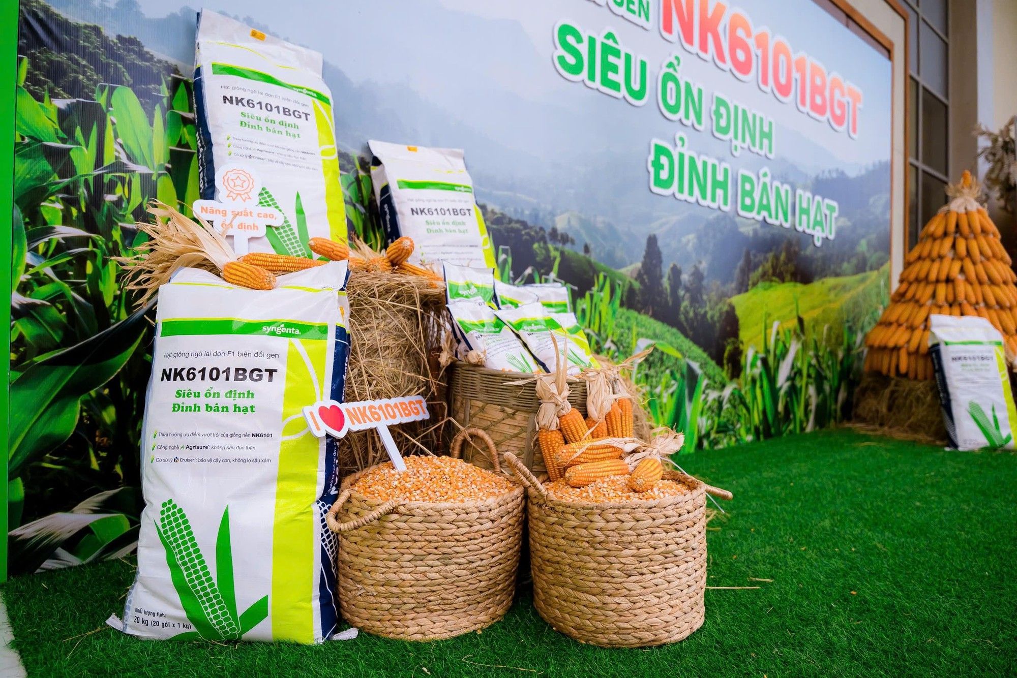 Thêm mô hình canh tác mới, mở ra cơ hội làm giàu cho nông dân