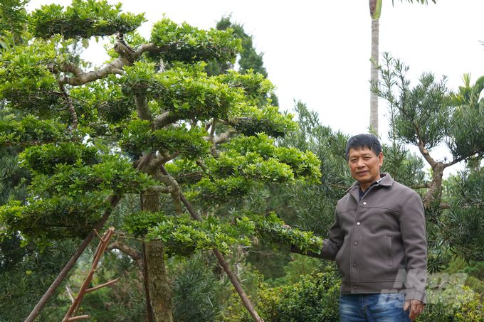 Vườn cây cảnh trị giá bạc tỷ của lão nông Thanh Hóa