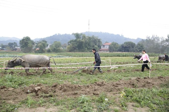 Rét đậm, vùng cao linh hoạt gieo cấy vụ xuân