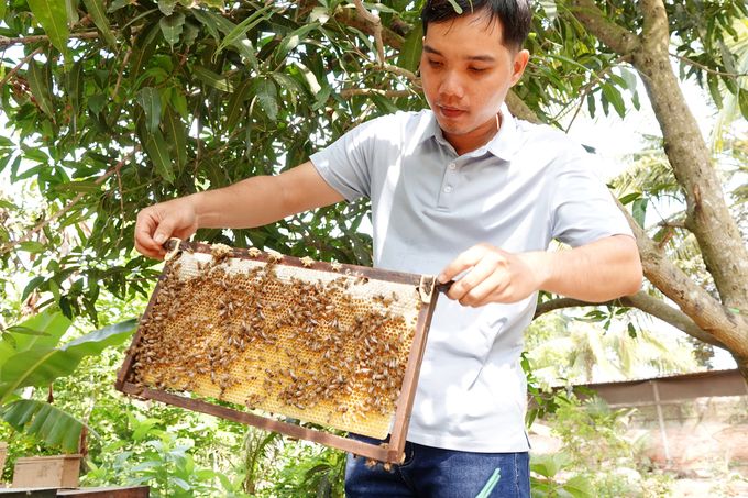 Nuôi ong tạo hương vị mật theo mỗi mùa hoa