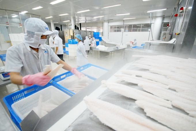 Xuất khẩu thủy sản tăng trưởng khả quan