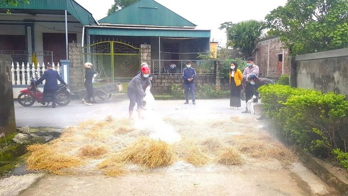 Dịch tả lợn Châu Phi âm ỉ lan rộng