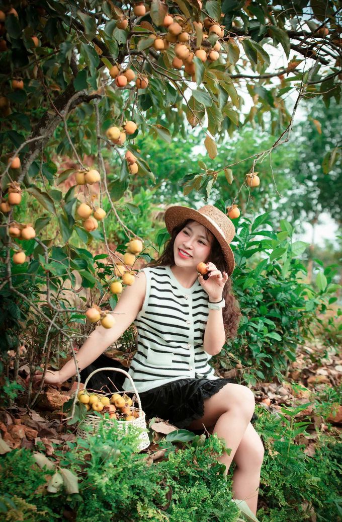 Vườn hồng vùng núi Đại Huệ hút khách du lịch