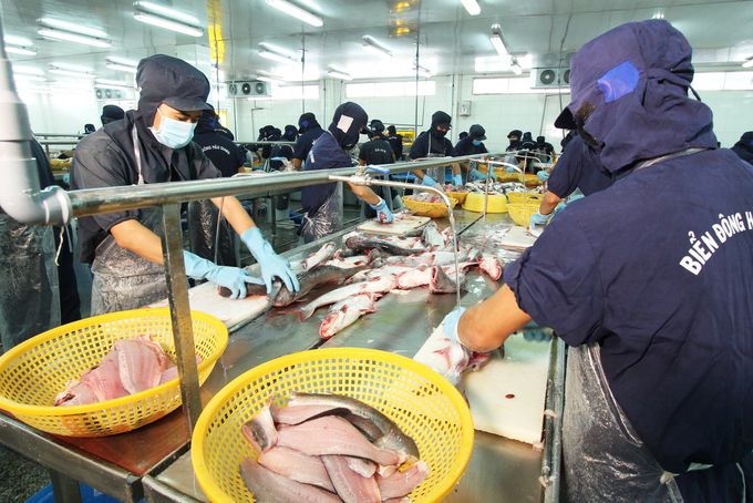 Thủy sản Việt Nam có cơ hội tăng thị phần tại Mỹ
