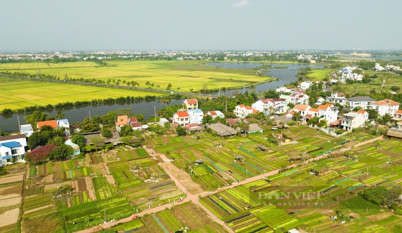 Đưa sản phẩm, đặc sản OCOP vào tour du lịch Quảng Nam, nông dân, doanh nghiệp đều có lợi