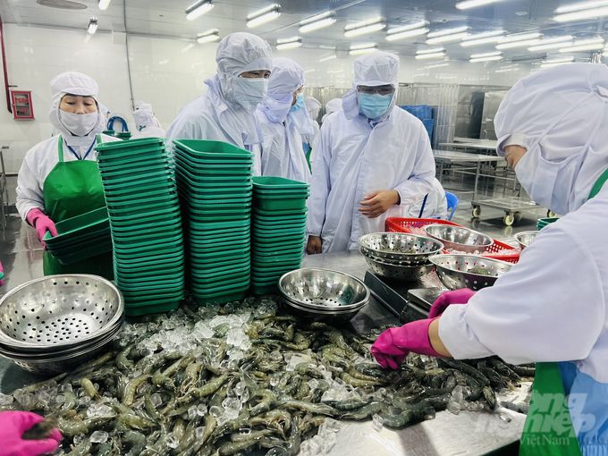 Hình thành hệ sinh thái để phát triển ngành tôm bền vững